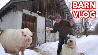 BIG TROUBLE in our LITTLE BARN - VLOG