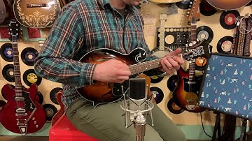 2000s Savannah SF-100 F-style archtop mandolin