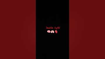 سورة ياسين #المصحف #alllahﷻ #سورة_يس