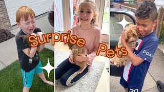 Try Not To Cry - Surprise Pets Compilation 😭🐶 #compilation