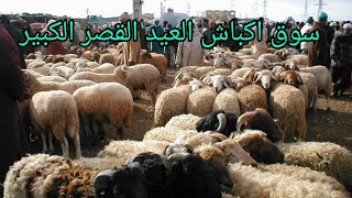 سوق الحولي عيد الكبير السوق الاسبوعي اولاد احمايد القصر الكبير العرائش souk lholi 3id lkbir الجزء2️⃣