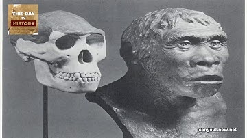 Piltdown Man discovered