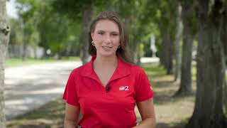 Hurricane Season Tips  Tree Trimming