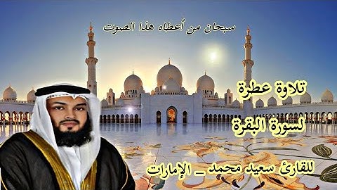 القارئ سعيد محمد #سورة الفاتحة والبقرة كاملة