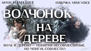 видео: Волчонок на дереве / Klema Love / Волк и дерево — понятия несовместимые, но Чонгук совместил /ВиГуки картинка: Волчонок на дереве / Klema Love / Волк и дерево — понятия несовместимые, но Чонгук совместил /ВиГуки