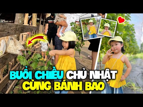 Buổi chiều chủ nhật cùng Bánh Bao | Đi hái nho và thăm các bạn động vật | Dạo quanh phố đi bộ Hà Nội