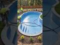 “From Dirt to Dream Backyard: The Ultimate Family Pool Transformation 🌊🔥”#pool