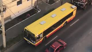 VIDEO FOTO Autobuz defect pe Maramureșului – Șoferul dirijează traficul 2 video