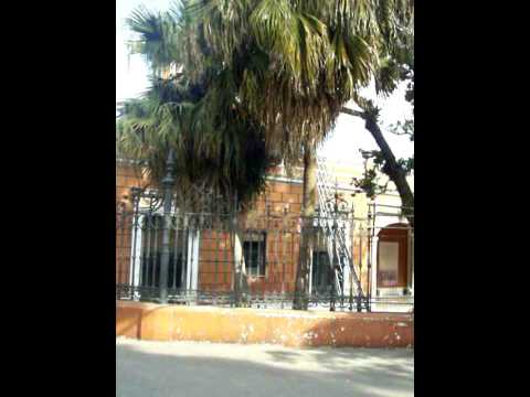 SAN TELMO - MUSEO HISTORICO NACIONAL - PARQUE LEZA...