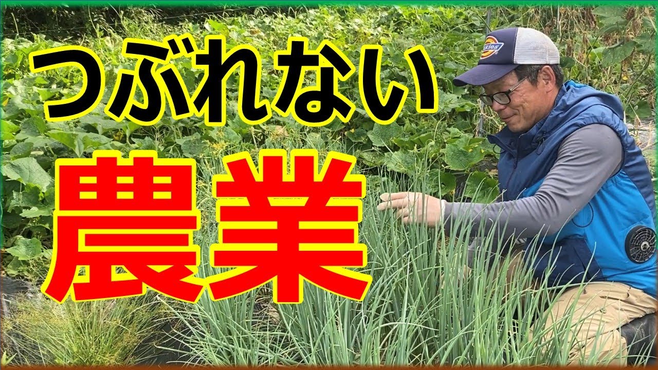 【新規就農】10年間つぶれずに農業できた理由