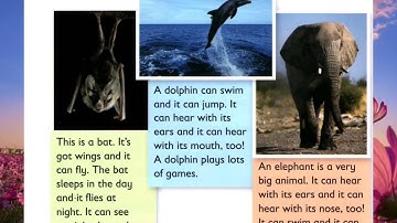 Reading and writing 1- Unit 10: Amazing animals