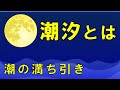 【潮汐】潮の満ち引きを知ることは海釣りでとても重要なこと