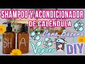 SHAMPOO Y ACONDICIONADOR CERO BASURA ¡HECHOS EN CASA! - Mixi