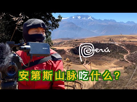 秘鲁安第斯山脉吃什么？印加帝国在圆形梯田种什么？（秘鲁之三2020）