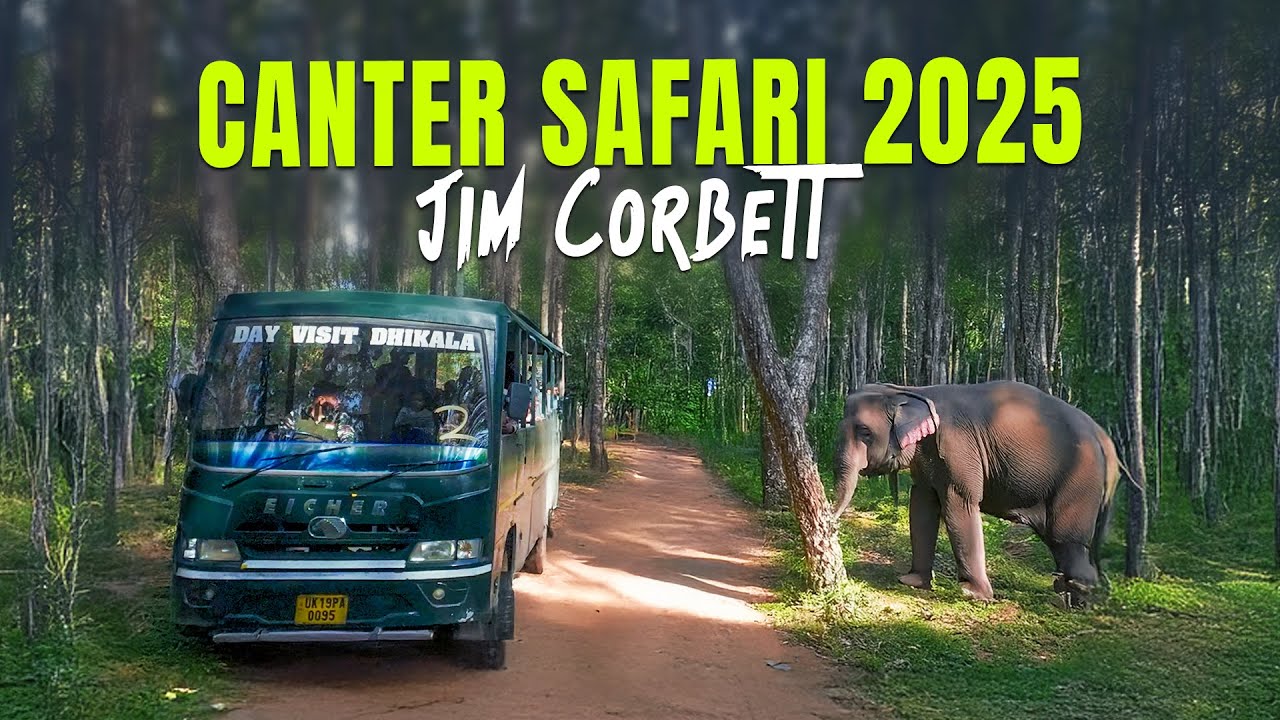 Dhikala Canter Safari Experience at Corbett Tiger Reserve - 4k Video