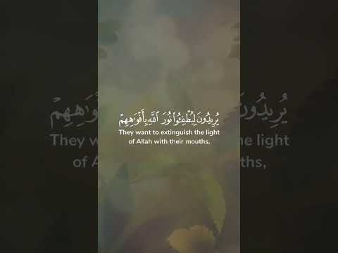 ي ر يد ون ل ي ط ف ئ وا ن ور الل ه ب أ ف و اه ه م و الل ه م ت م ن ور ه و ل و ك ر ه ال ك ا