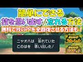 【ポケモンSV】技を思い出す・忘れる方法【ポケットモンスタースカーレットバイオレット】