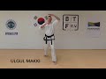 BTF - Folge 39: Taekwondo, Basisblöcke (Makki´s)
