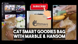 Cat smart's goodies bag with Marble & Hansom Boy #catsmart by Diana Dreamstar 130 views 2 years ago 13 minutes, 47 seconds