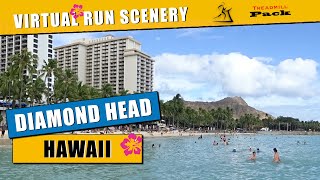 Virtual Walk Diamond Head Hawaii | Treadmill Walk Run | No Music