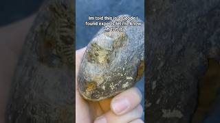 Cutting open  big Geode #geode #geodeart #fossils #fossil #fossilhunting #agate #crystals #quartz