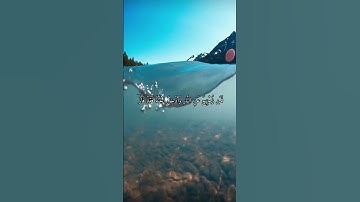 واتس اب قران كريم القارئ ياسر دوسري (سوره ال عمران)