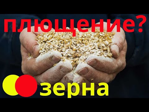 Видео: Какая часть мирового зерна идет на корм скоту?