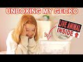 Unboxing My Leopard Gecko🦎 What I Got For My 12th Birthday #2 | Ruby Rose UK