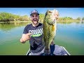 Catching BIG Bass on Crankbaits!!! (Spring Fishing)