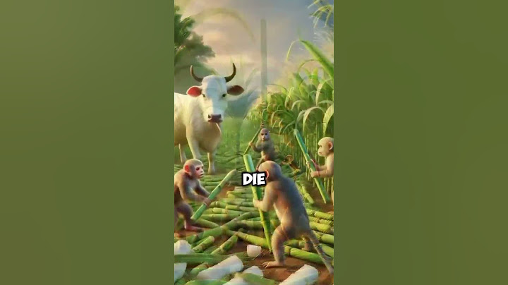 Was diese Kuh durchmachen musste, bricht jedem das Herz… doch das Ende? #Story #animal #shortsfeed