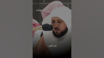 يا أَيُّهَا الَّذينَ آمَنوا إِن تَنصُرُوا اللَّهَ يَنصُركُم | سورة محمد|فضيلة الشيخ ماهر المعيقلي