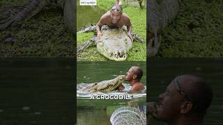 The Man Who Swims With Crocodile #shorts #animals #crocodile
