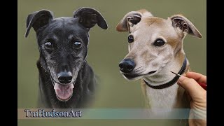 Painting realistic greyhounds in acrylic  Timelapse and chat