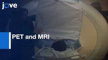 PET and MRI for Automatically Segmentation of Adipose Tissue Depots | Protocol Preview