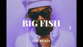 Wizkid x Rema Afro Dancehall Type Beat - BIG FISH (Afrobeat Dancehall Instrumental) CNL Beats