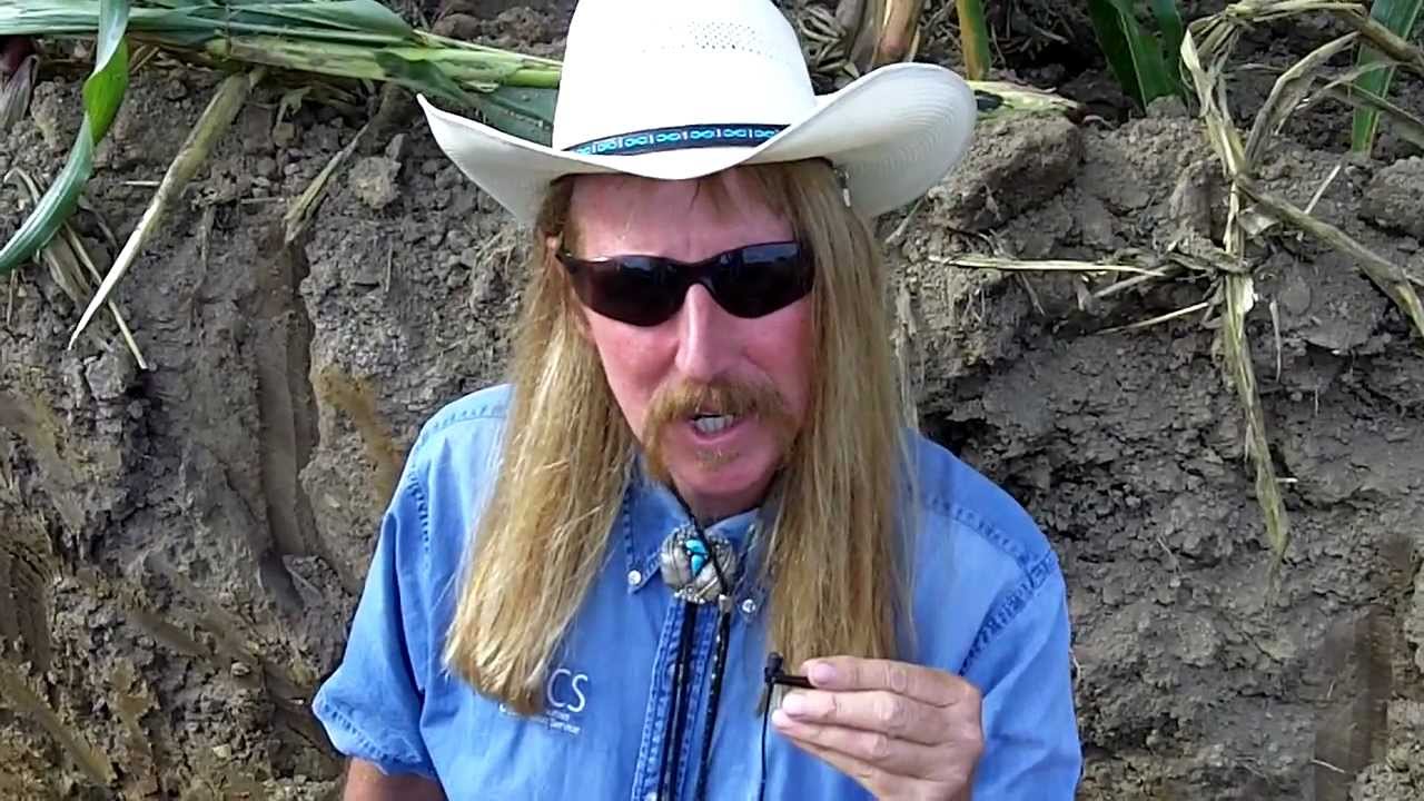 soil scientist