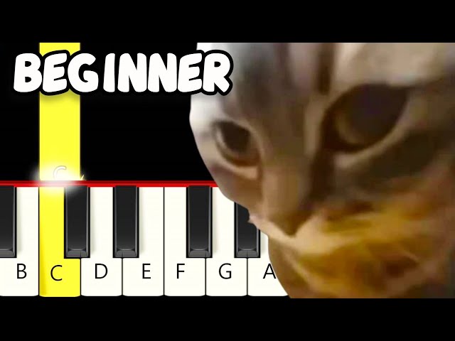 Chipi Chipi Chapa Chapa Dubi Dubi Daba Daba Meme - Fast and Slow (Easy) Piano Tutorial - Beginner class=
