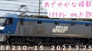 お昼のカラフルなコンテナいっぱい桃太郎貨物列車1050レ EF210-15 20230325