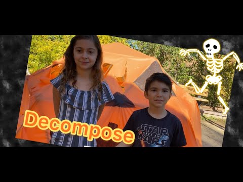 Decompose - What does it mean?