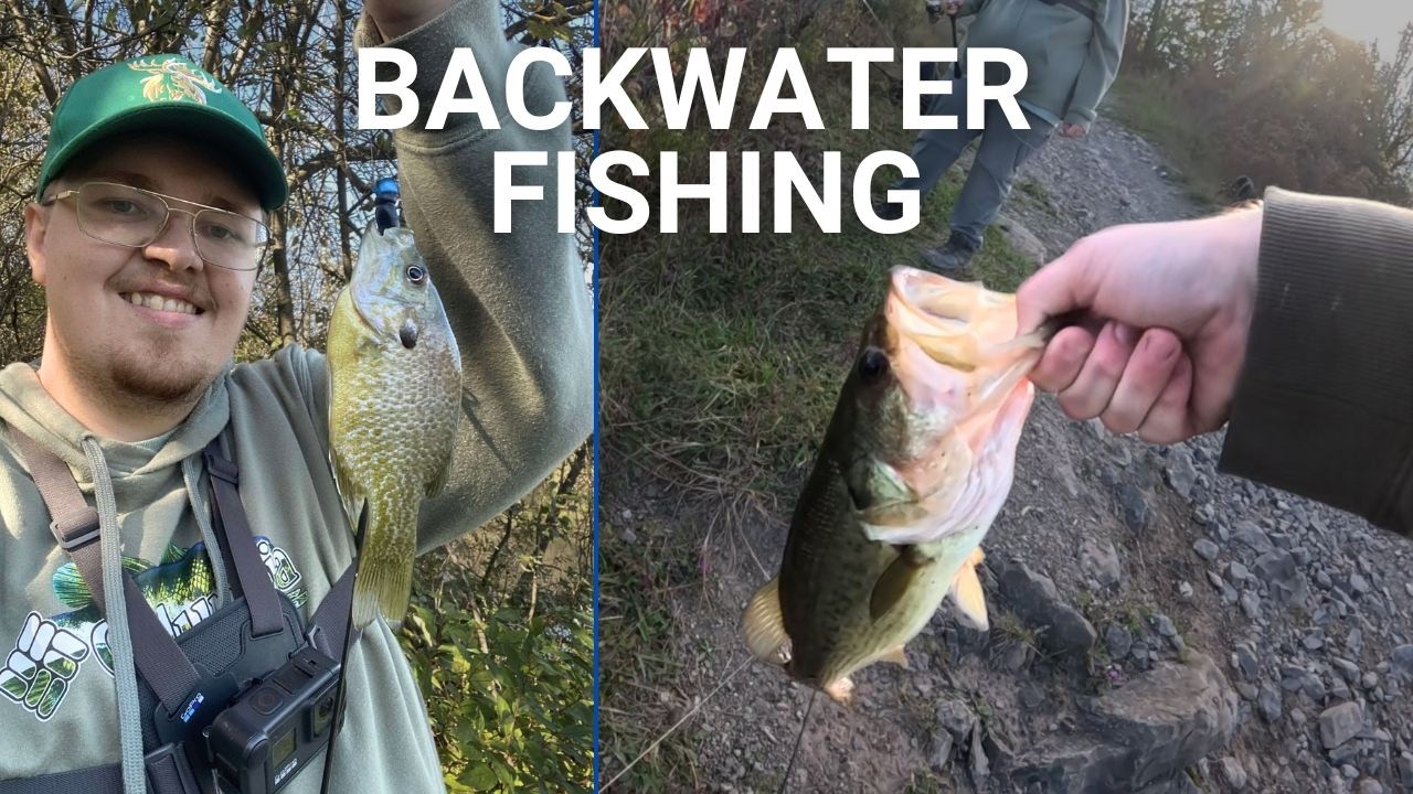 Backwater Creek Fishing for Bass