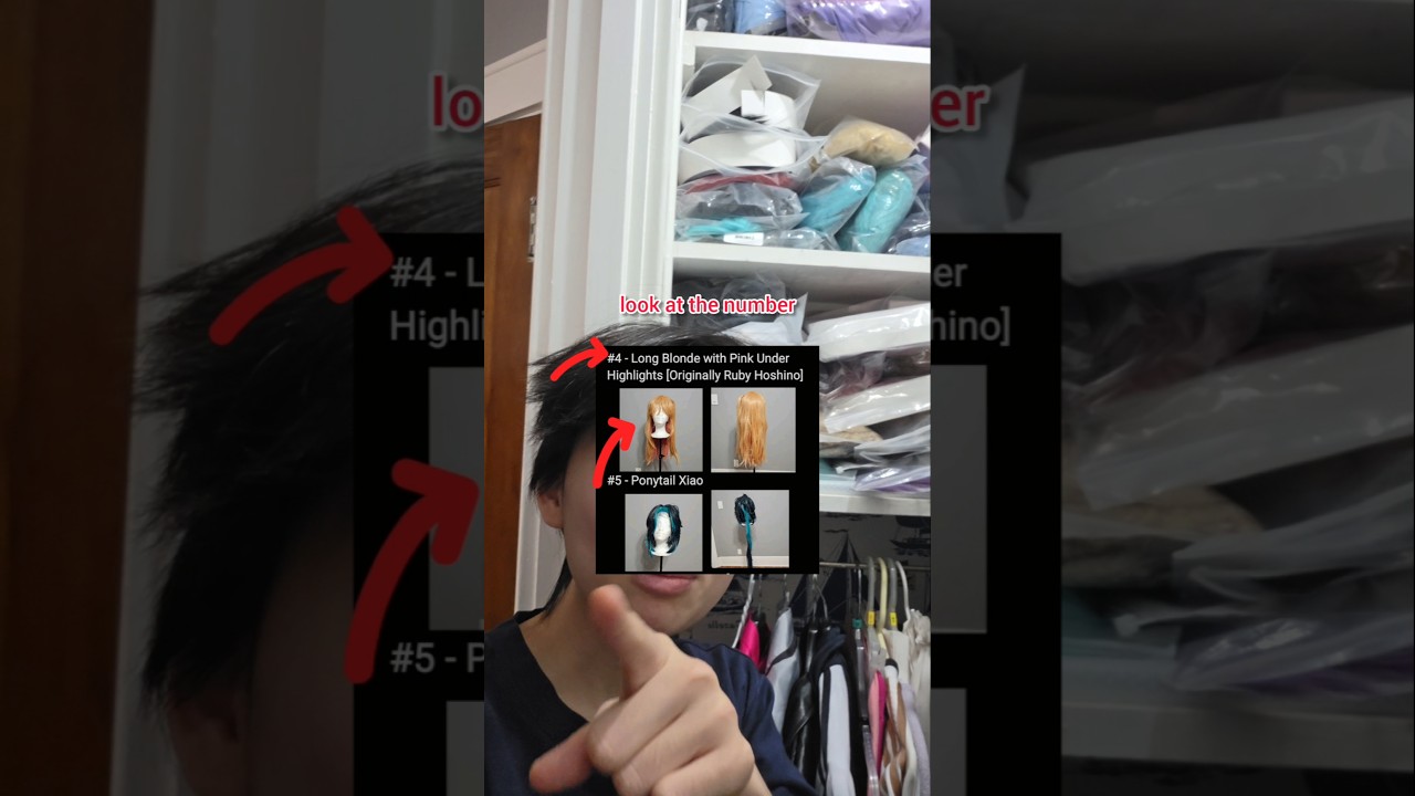 HOW to organize a wig collection