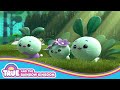 Animals Compilation | True and the Rainbow Kingdom