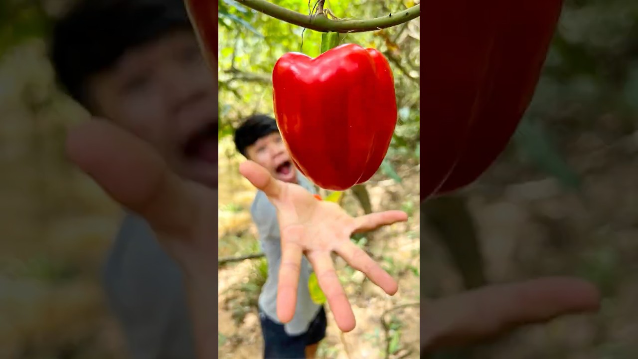 Red Pepper SURVIVAL Hacks You Need To Know Now