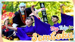 Going to Northern Japan! My Trip to Semboku.