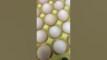 UV laser marking machine printing date code on eggs