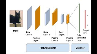 Load local images and train model using CNN Profile
