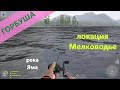 Русская рыбалка 4 - река Яма - Горбуша перед островком