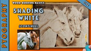 #pyrography: How to Wood Burn Horses / Shading Shadows on White #woodburning