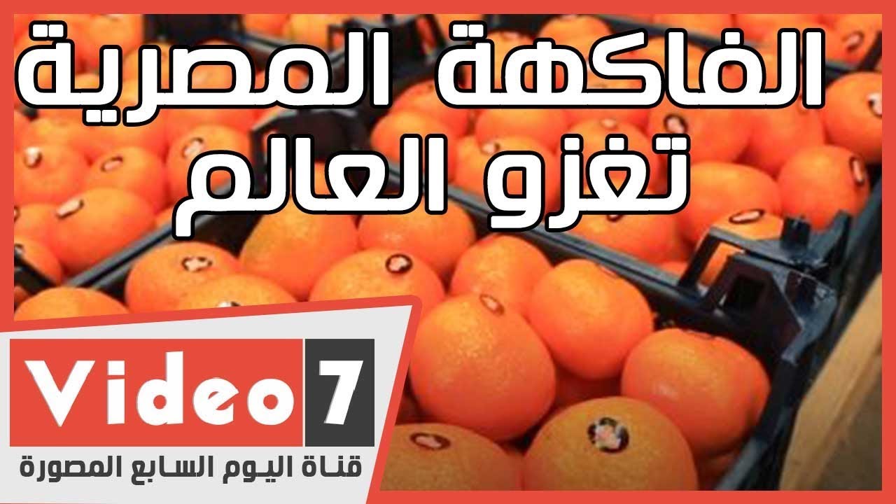 الفاكهة المصرية تغزو العالم اعرف مراحل تجهيز الفواكه قبل تصديرها Youtube