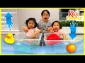 Sink or Float Challenge! Easy DIY Science Experiments for kids